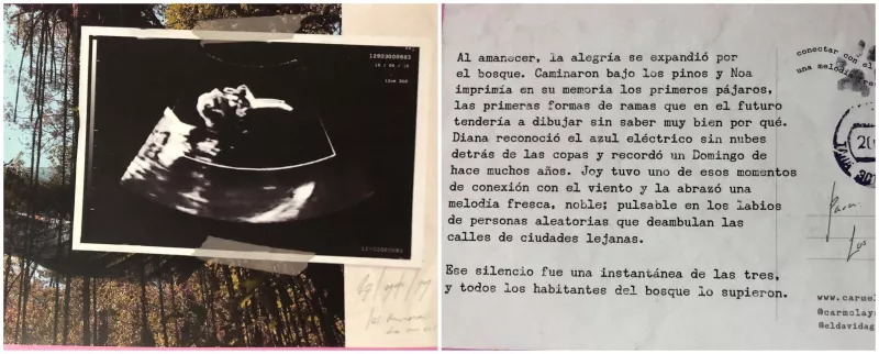 Postales en días de lluvia.