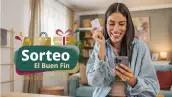 sorteo-el-buen-fin-sat.png