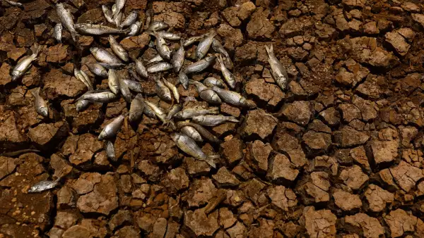 escasez-de-agua-en-mexico