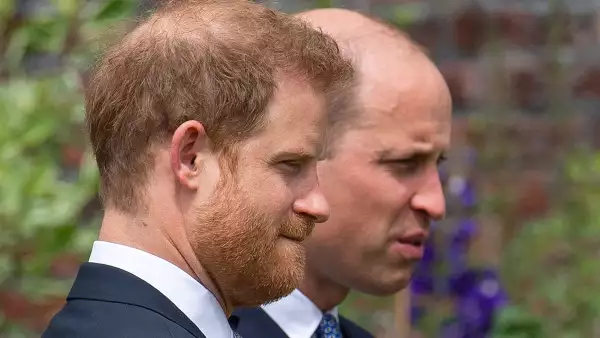 William y Harry rivalidad de hermanos