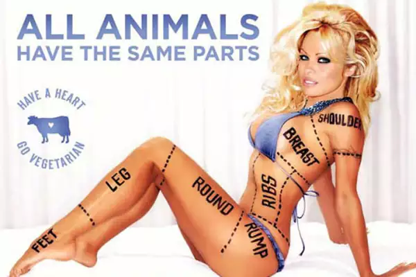 Pamela Anderson