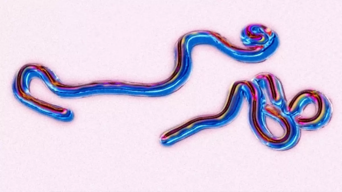 pandemia