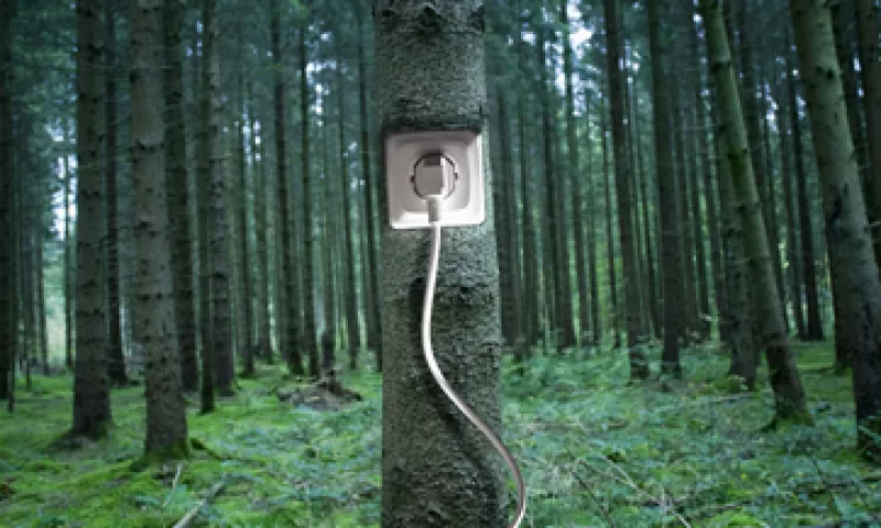 El ganador del desafío recibirá 250,000 pesos en efectivo. (Foto: Thinkstock)