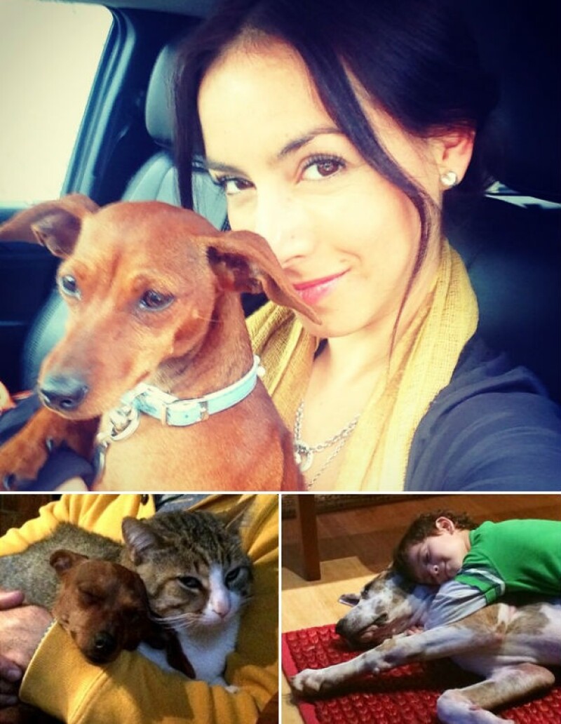 Claudia Lizaldi es gran amante de los animales y su hijo Iam también los adora.