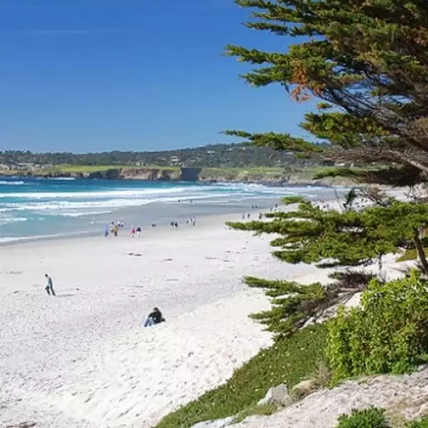 galeria california 2