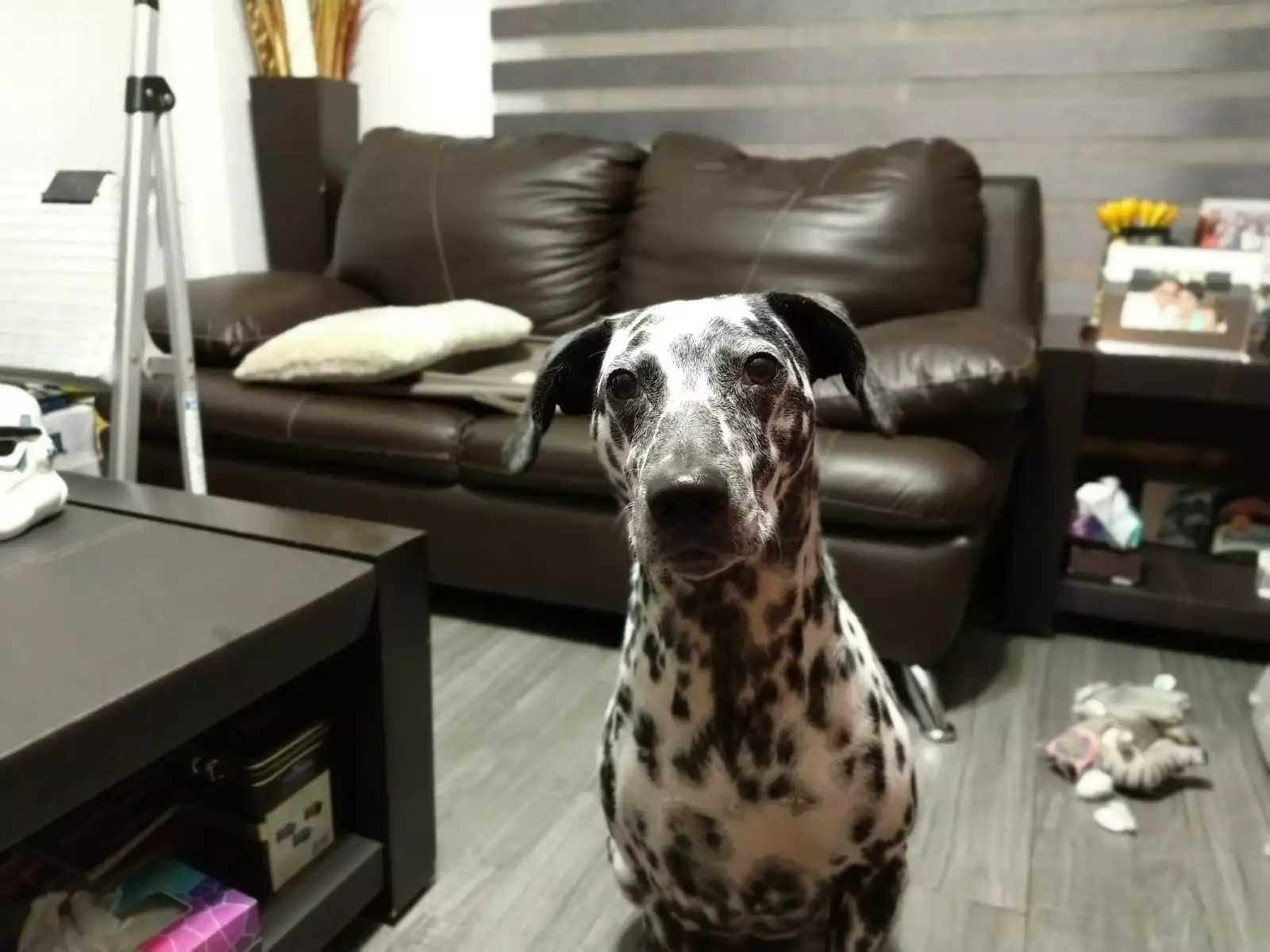 Las imágenes del Moto Z3 Play