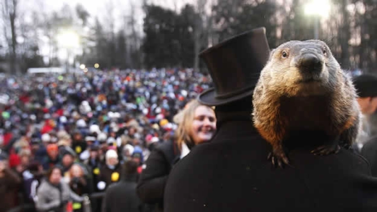 día de la marmota