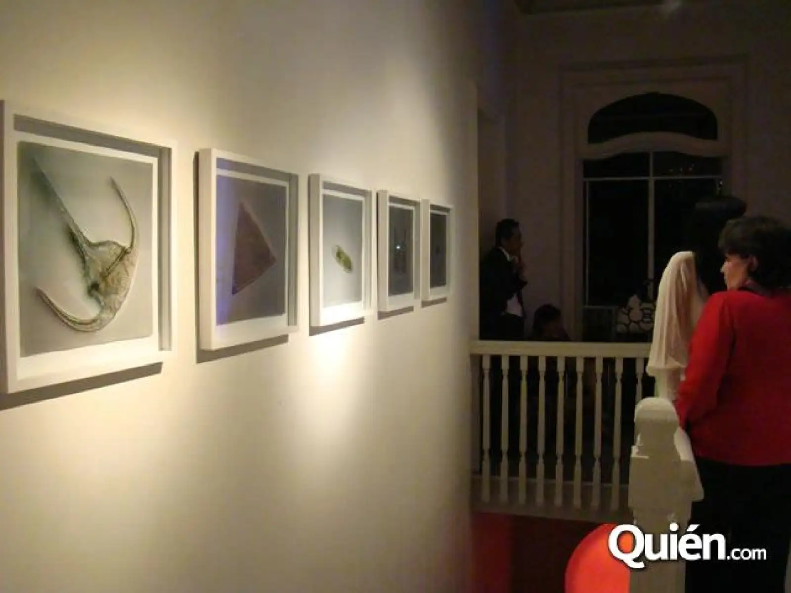 Galería Alejandra Frausto y TOCA