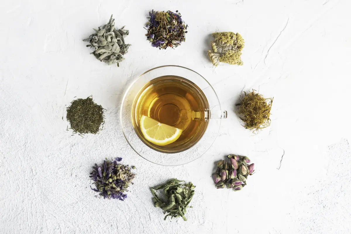 Infusiones durante la lactancia 

