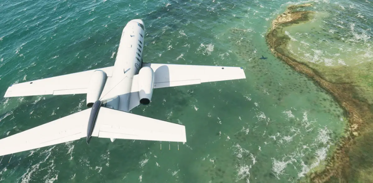 Microsoft Flight Simulator