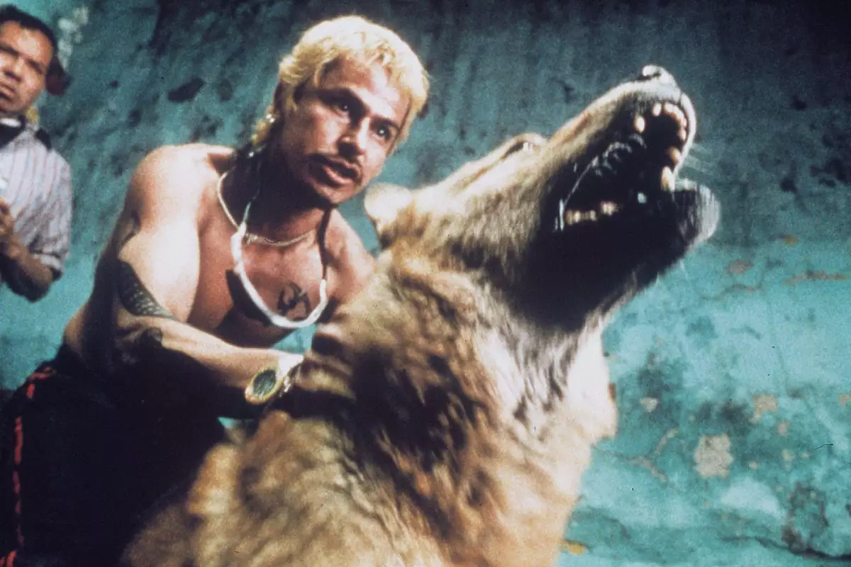 Gustavo Sánchez Parra en fotograma de la cinta Amores perros. 