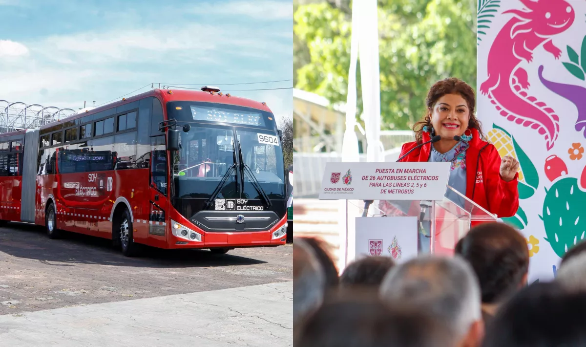 brugada metrobus.jpg