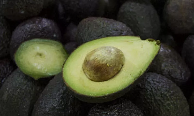 aguacate fresco