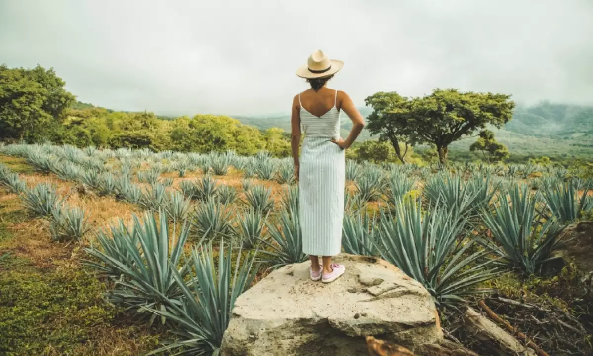 Estas mujeres hacen "mezcal con causa"