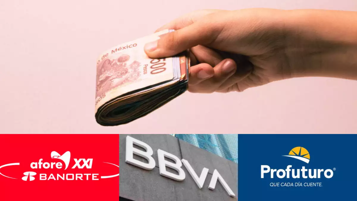 Pensión garantizada de por vida: guía para entender la renta vitalicia