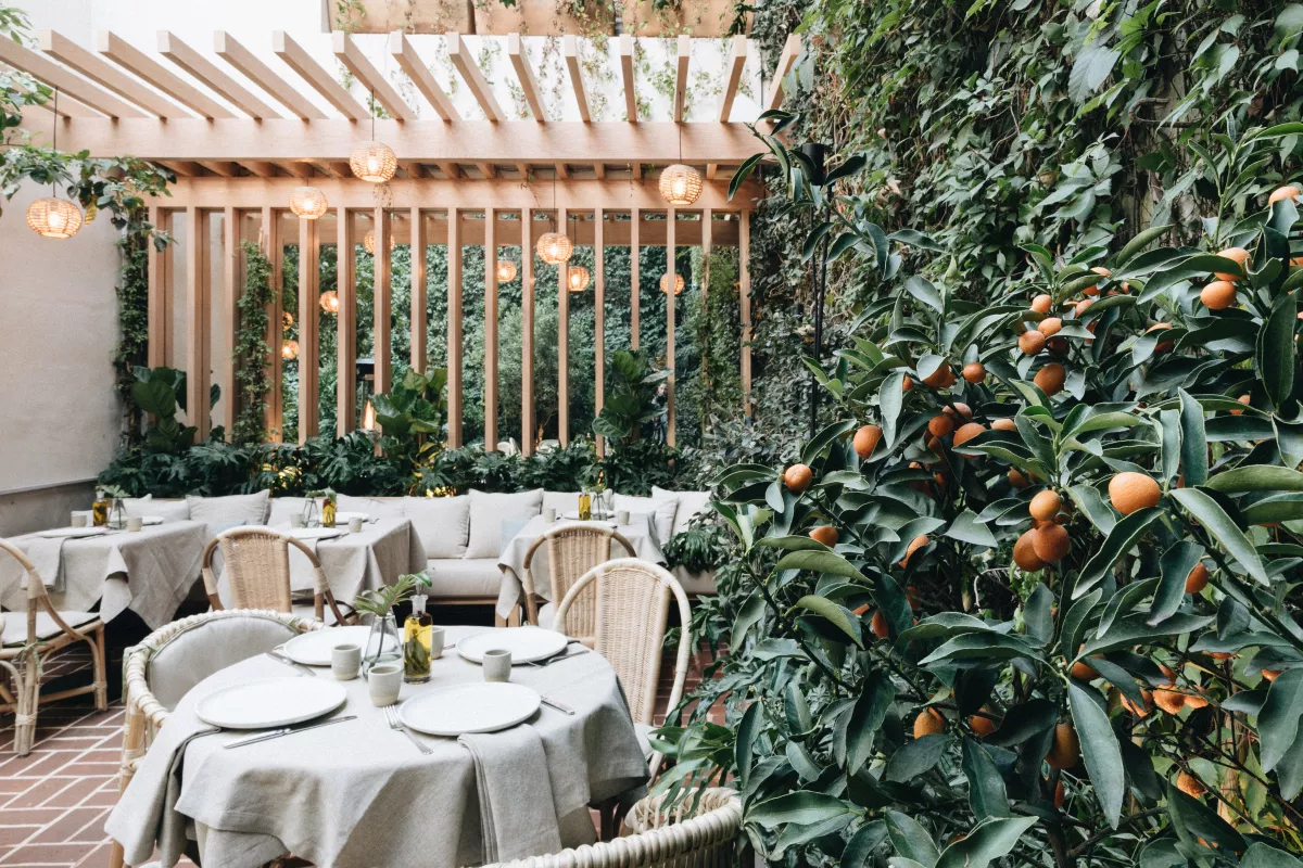 Conoce el nuevo Lampuga