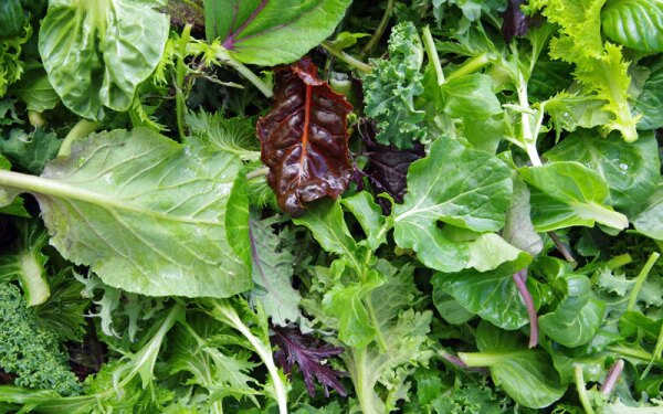 Vegetales-mas-saludables-hojasverdes