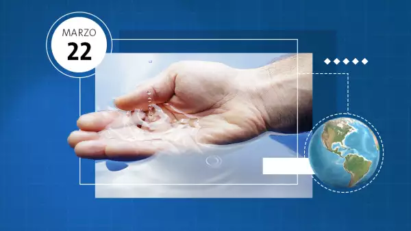 ¿Por qué se conmemora el Día Mundial del Agua el 22 de marzo?