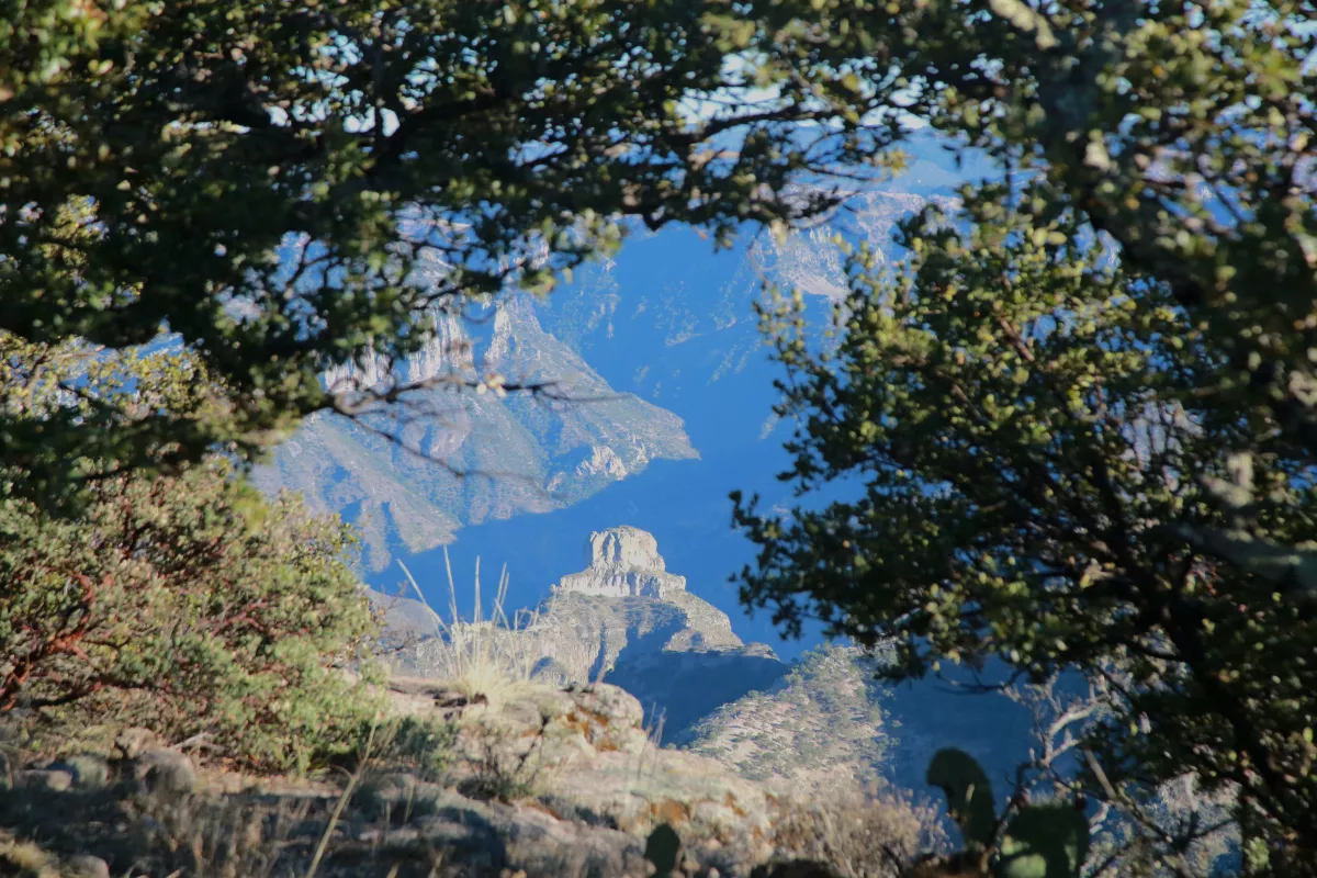 Barrancas del Cobre