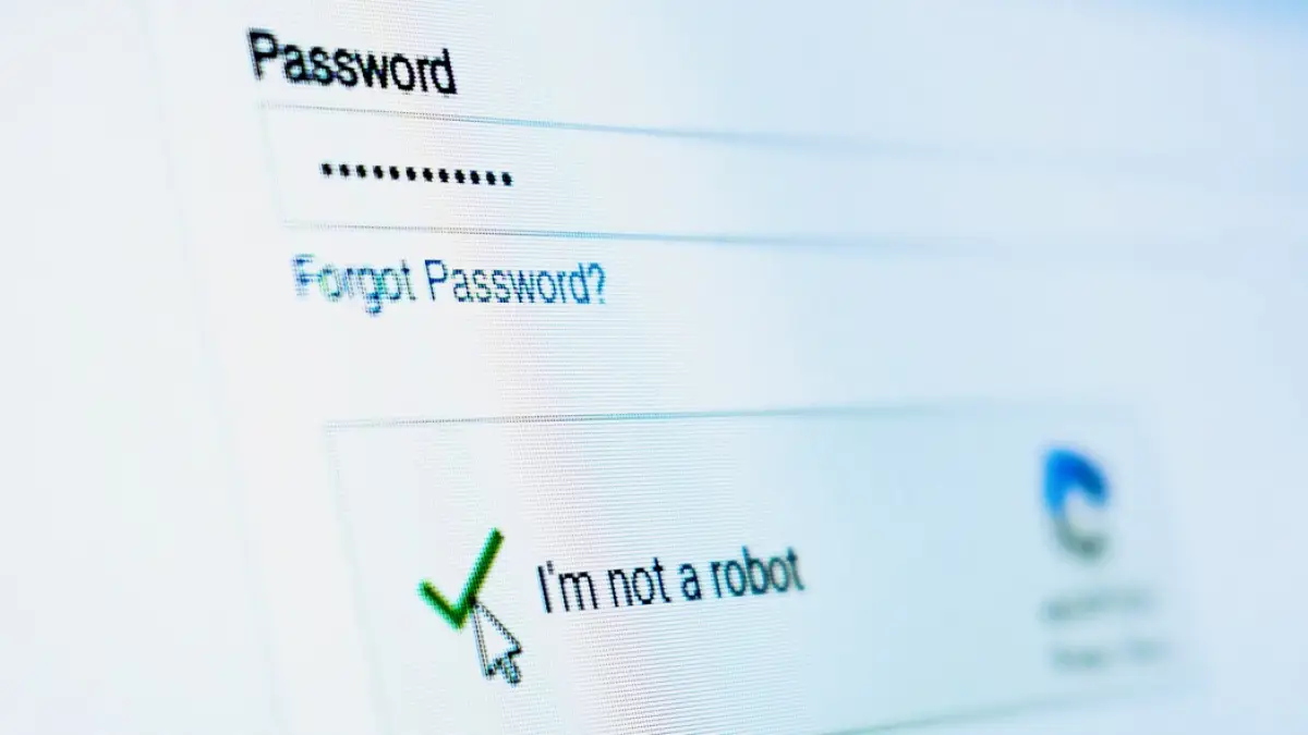 captcha-falso