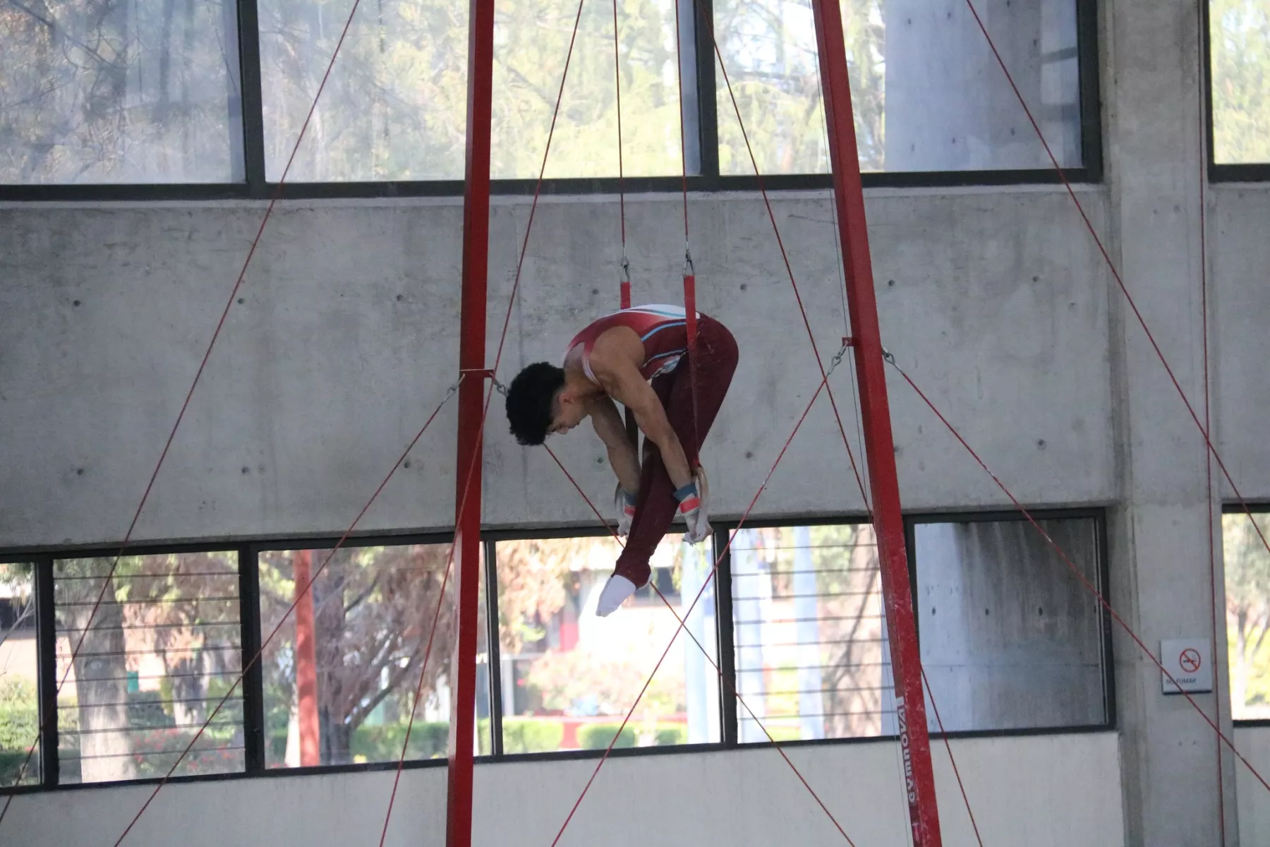 federación mexicana de gimnasia.jpg