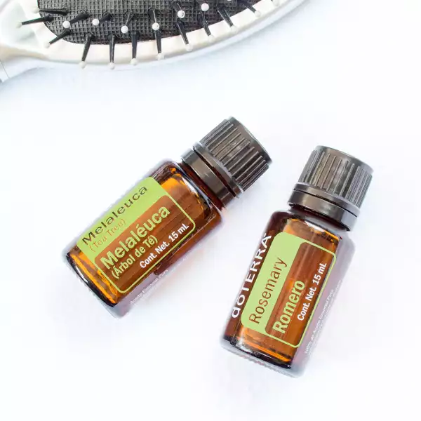 Arbol_de_Té_ dōTERRA.png