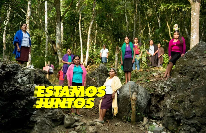 Ikea-comunidades-indigenas