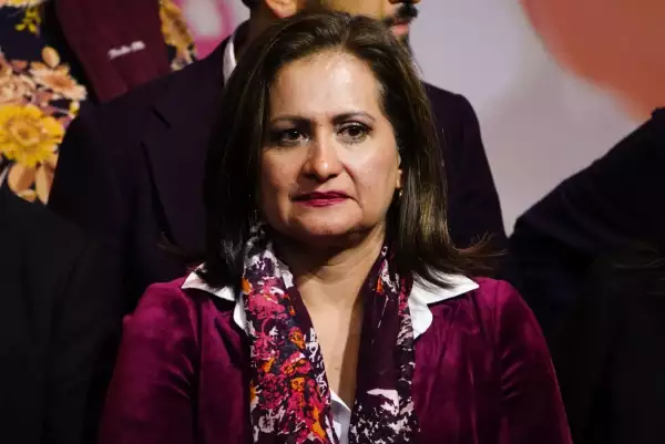 Ganadores estatales Morena-12