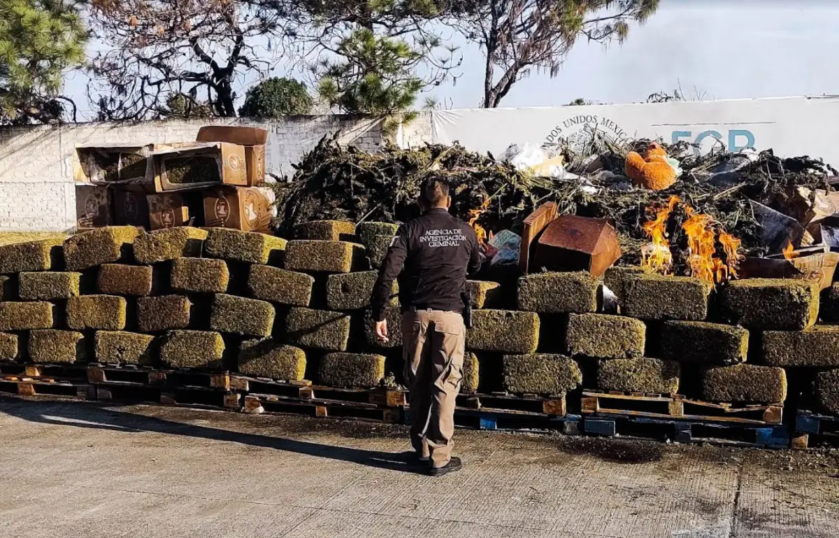 México está al nivel de Siria en la producción de drogas a nivel mundial, revela la ONU