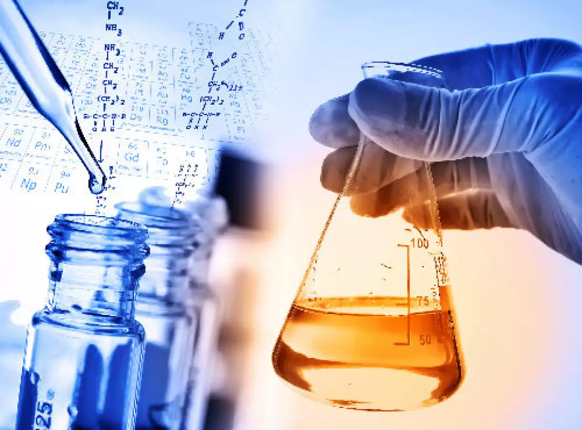 investigaci�n cient�fica