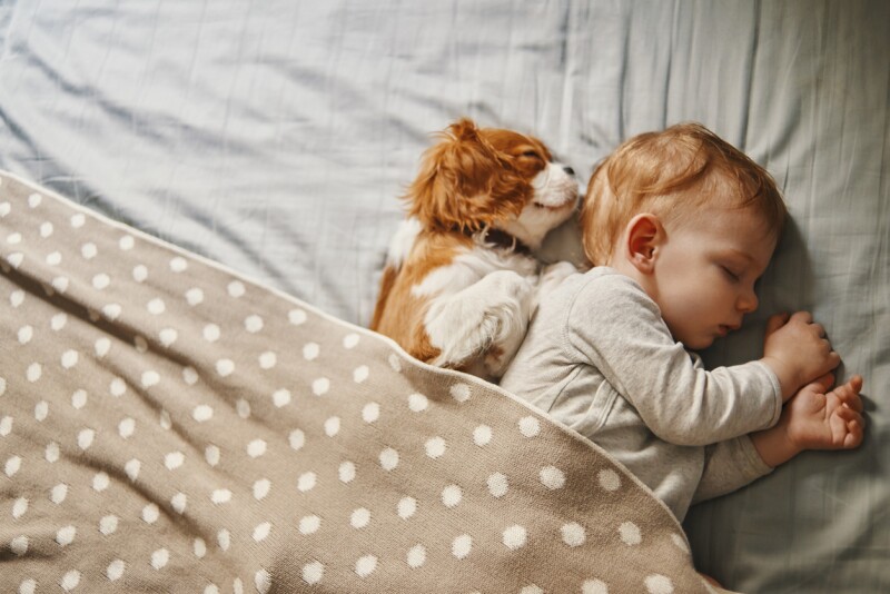 bebé y perro