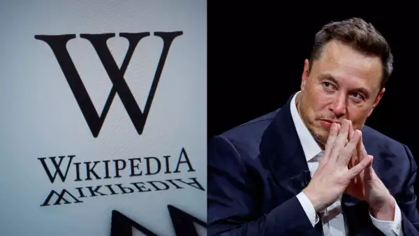 elon-musk-wikipedia.jpg