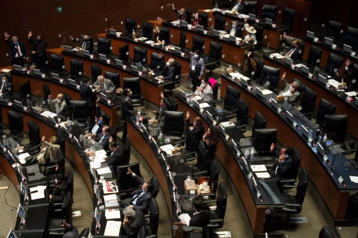 Senado 
