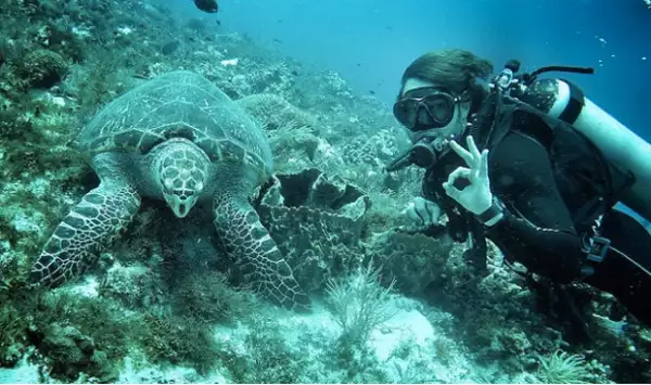 Hace dos semanas la pareja visitó Cozumel, donde practicaron buceo.