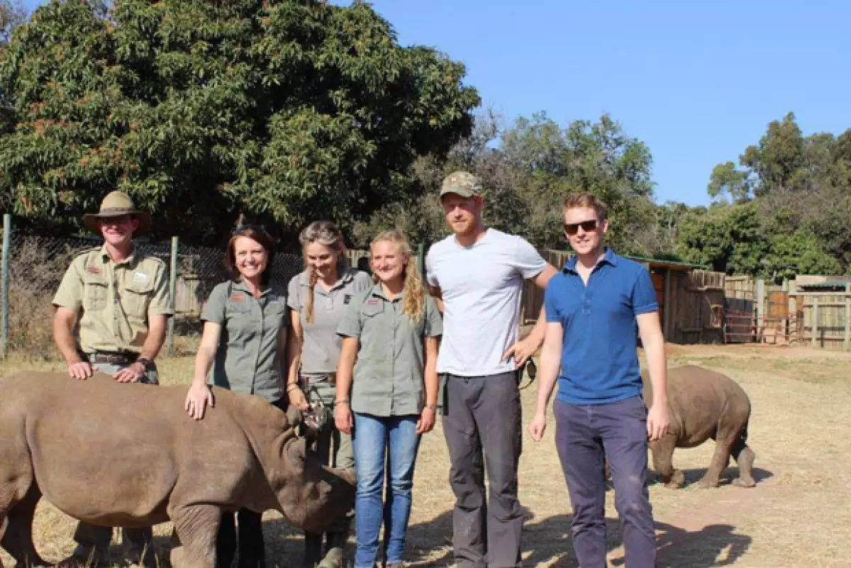 Durante su viaje por el continente africano, el príncipe tuvo la oportunidad de darle de comer a estos animales, confesando que la experiencia fue como &#39el trabajo de sus sueños&#39.