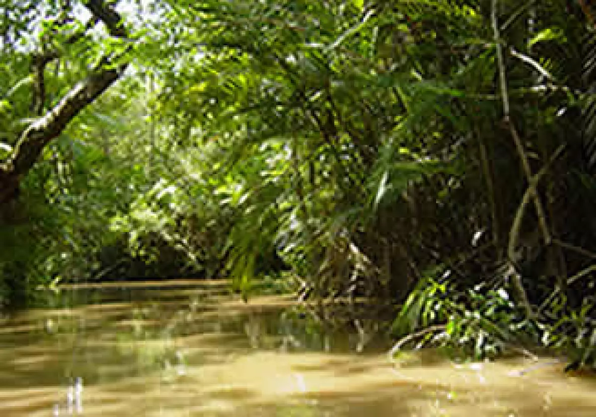 Indígenas y pobladores tradicionales de la Amazonía reclaman al Parlamento brasileño la construcción de la represa Belo Monte, impulsada por el Gobierno federal. (Foto: Cortesía SXC)