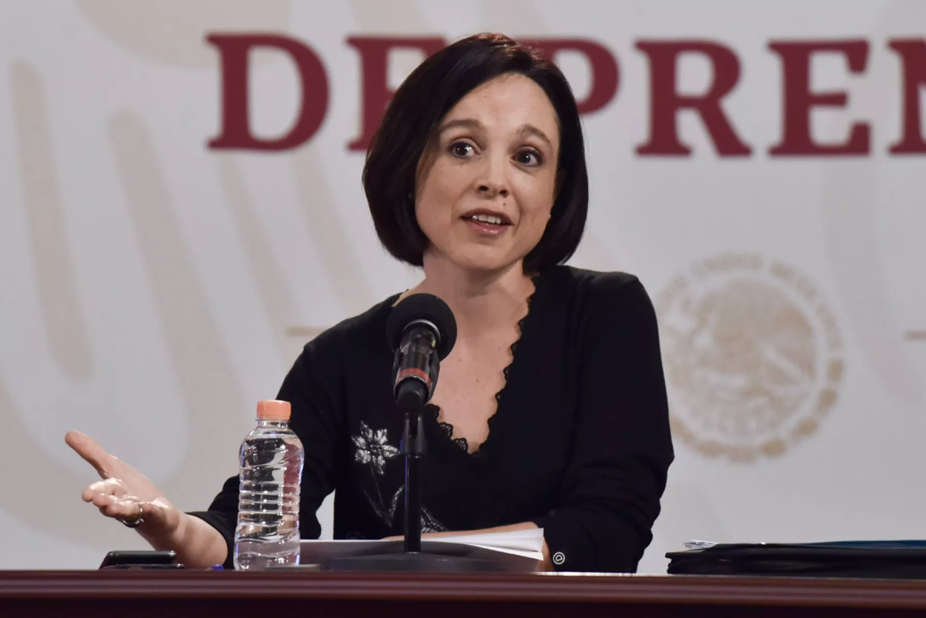 (Galia Borja, subgobernadora del Banco de México)