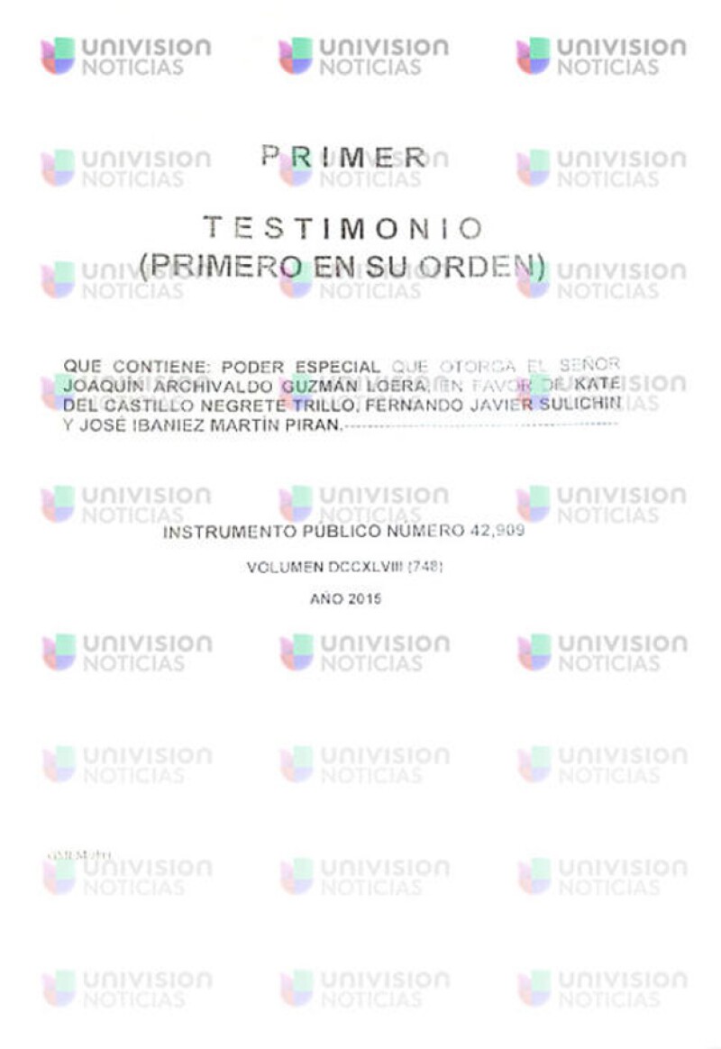 El presunto documento en el que el narcotraficante mexicano otorga poder a la actriz y a otras personas para filmar una película sobre su vida, ha salido a la luz.