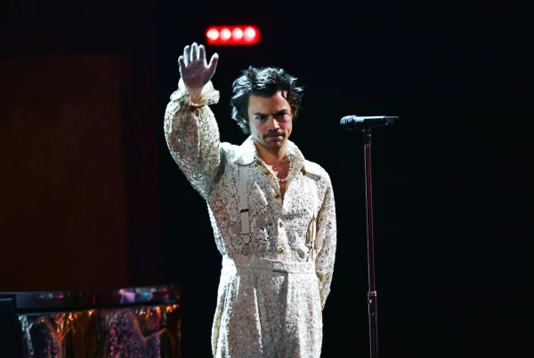 harry-styles- fan-pollo-vegetariano