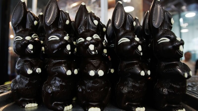Conejos chocolate