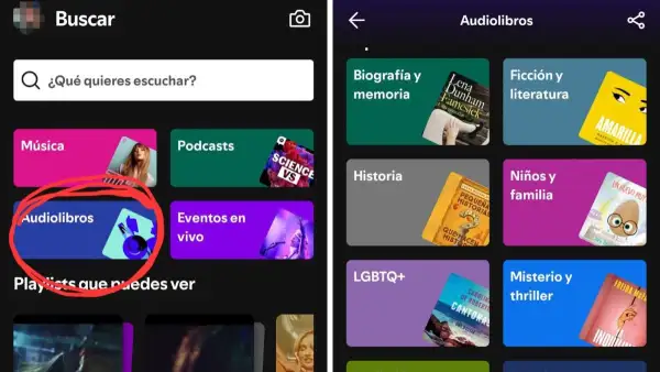 audiolibros-busqueda-spotify.jpg