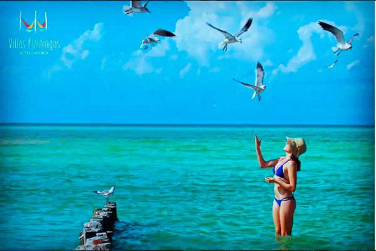 La guapa actriz de 29 años tomó unos días de descanso en la isla Holbox, donde cautivó a sus fans con su belleza.