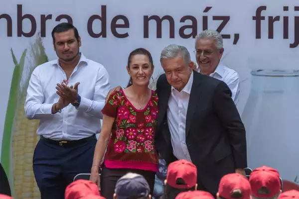 AMLO Autoconsumo-2.jpg