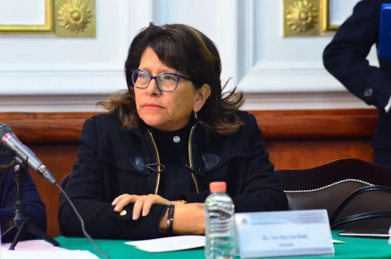 Martha Ávila es la nueva coordinadora de Morena en el Congreso CDMX. Foto: @MarthaSoledadv2 en Twitter
