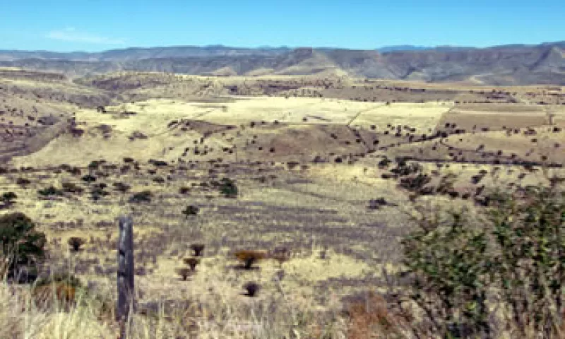 Los fondos del Banco Mundial también se destinarán a bosques sustentables a nivel comunitario. (Foto: Notimex)