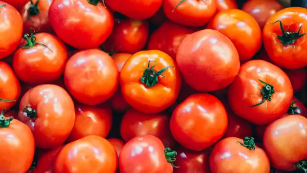 Tomates mexicanos.