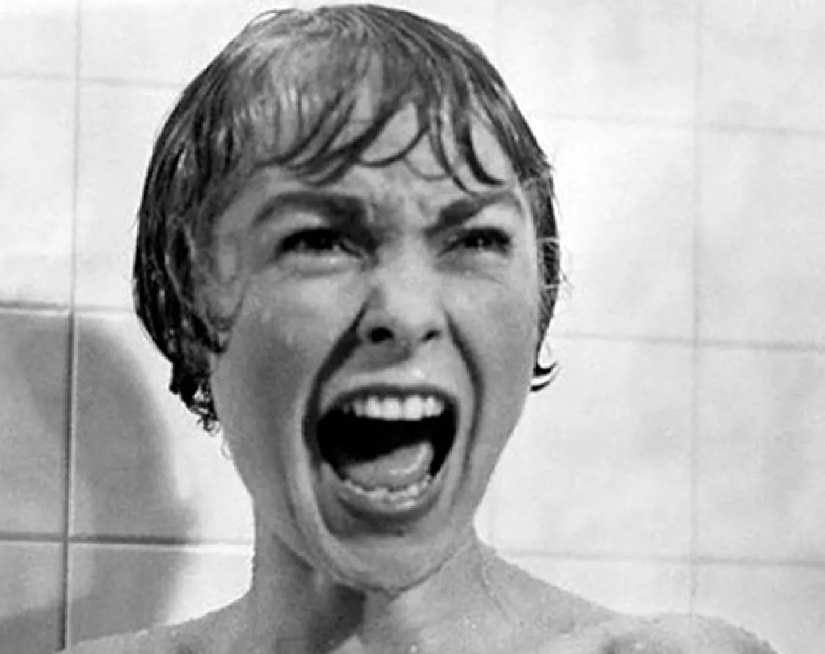 Considerada como un clásico de las películas de terror, Psicosis fue estrenada en 1960. Dirigida por Alfred Hitchcock,  reconocido director y productor británico, fue elogiada como una obra de arte...