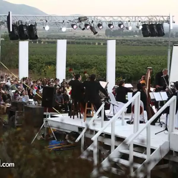 Vendimia Monte Xanic