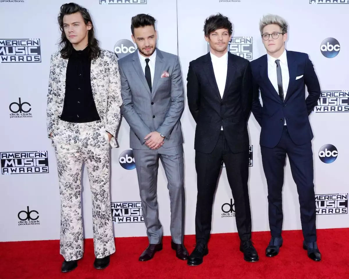 American Music Awards, Arrivals, Los Angeles, America - 22 Nov 2015