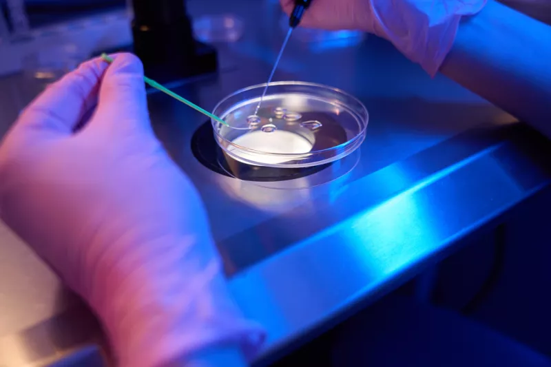 Óvulos hechos con células de la piel